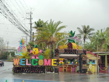 ナゴパイナップルパークに投稿された画像（2025/3/10）