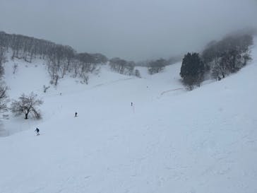 村上市ぶどうスキー場に投稿された画像（2025/3/10）