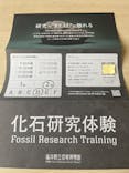 福井県立恐竜博物館に投稿された画像（2025/3/10）