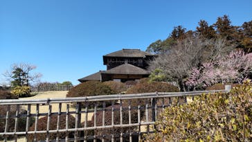 偕楽園本園に投稿された画像（2025/3/10）