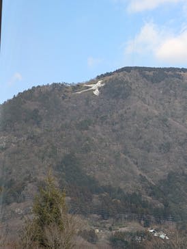 彫刻の森美術館に投稿された画像（2025/3/10）