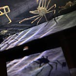 竹島水族館に投稿された画像（2025/3/10）