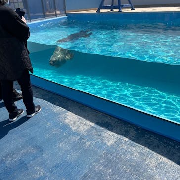 竹島水族館に投稿された画像（2025/3/10）
