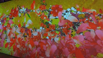 動き出す浮世絵展 TOKYOに投稿された画像（2025/3/10）