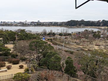 偕楽園本園に投稿された画像（2025/3/10）