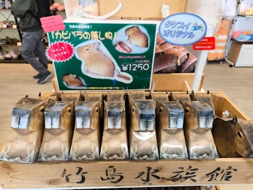 竹島水族館に投稿された画像（2025/3/10）