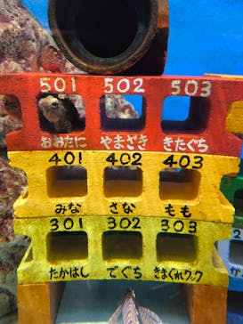 竹島水族館に投稿された画像（2025/3/10）