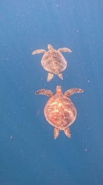  マリンショップHAPPYに投稿された画像（2025/3/10）