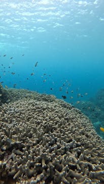  マリンショップHAPPYに投稿された画像（2025/3/10）