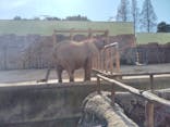 東武動物公園に投稿された画像（2025/3/10）