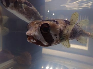 NIFREL（ニフレル）に投稿された画像（2025/3/10）