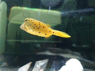 NIFREL（ニフレル）に投稿された画像（2025/3/10）