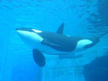 名古屋港水族館に投稿された画像（2025/2/22）