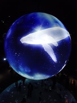 NIFREL（ニフレル）に投稿された画像（2025/2/22）