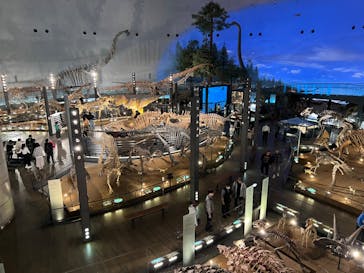 福井県立恐竜博物館に投稿された画像（2025/3/10）