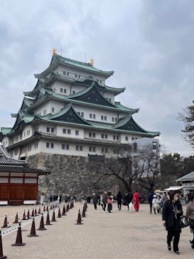 名古屋城に投稿された画像（2025/3/10）