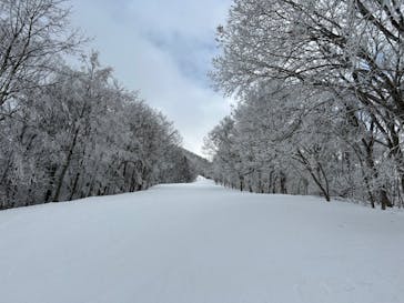 タングラムスキーサーカスに投稿された画像（2025/3/10）