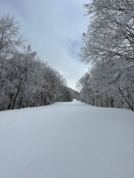 タングラムスキーサーカスに投稿された画像（2025/3/10）