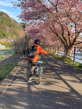 一般社団法人 河津町観光協会に投稿された画像（2025/3/10）