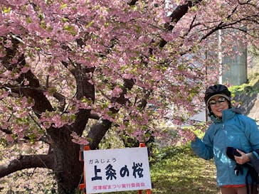 一般社団法人 河津町観光協会に投稿された画像（2025/3/10）