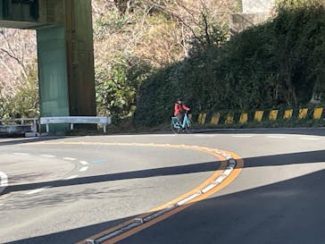 一般社団法人 河津町観光協会に投稿された画像（2025/3/10）