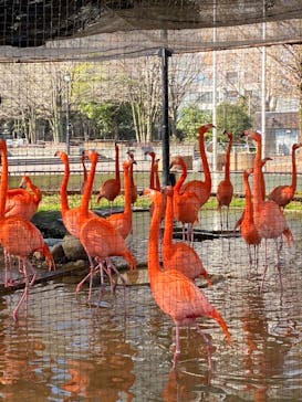 恩賜上野動物園に投稿された画像（2025/3/10）