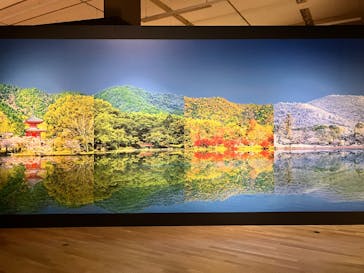 特別展「旧嵯峨御所 大覚寺 －百花繚乱 御所ゆかりの絵画－」（東京国立博物館）に投稿された画像（2025/3/10）