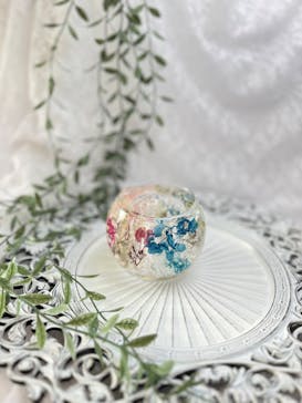 ずこうしつ〜sugamo〜に投稿された画像（2025/3/10）