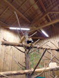 伊豆シャボテン動物公園に投稿された画像（2025/3/10）