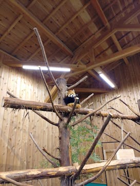 伊豆シャボテン動物公園に投稿された画像（2025/3/10）