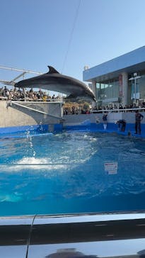 大分マリーンパレス水族館 「うみたまご」に投稿された画像（2025/3/10）