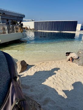 大分マリーンパレス水族館 「うみたまご」に投稿された画像（2025/3/10）