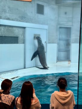 大分マリーンパレス水族館 「うみたまご」に投稿された画像（2025/3/10）