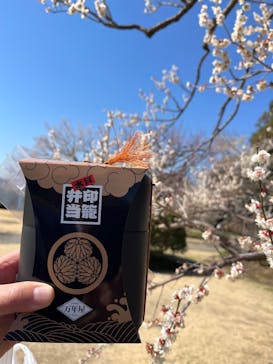 偕楽園本園に投稿された画像（2025/3/10）