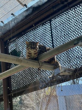 名古屋市東山動植物園に投稿された画像（2025/3/10）