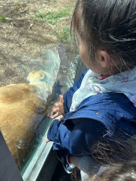 名古屋市東山動植物園に投稿された画像（2025/3/10）