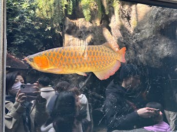 恩賜上野動物園に投稿された画像（2025/3/11）