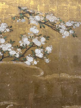 特別展「旧嵯峨御所 大覚寺 －百花繚乱 御所ゆかりの絵画－」（東京国立博物館）に投稿された画像（2025/3/11）