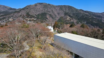 彫刻の森美術館に投稿された画像（2025/3/11）