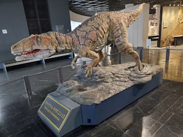 福井県立恐竜博物館に投稿された画像（2025/3/11）