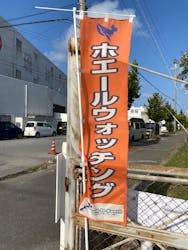 South to South（サウス トゥ サウス）に投稿された画像（2025/3/11）