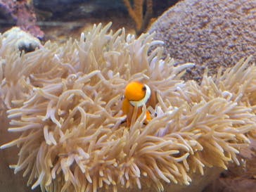 葛西臨海水族園に投稿された画像（2025/3/11）