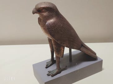 ブルックリン博物館所蔵 特別展 古代エジプトに投稿された画像（2025/3/11）