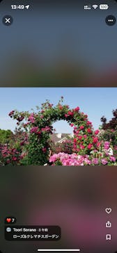 横浜イングリッシュガーデンに投稿された画像（2025/3/11）