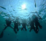 青の洞窟専門店　沖縄ダイビングショップ和に投稿された画像（2025/3/11）