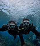 沖縄マリンサービス碧に投稿された画像（2025/3/11）