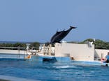 沖縄美ら海水族館に投稿された画像（2025/3/11）