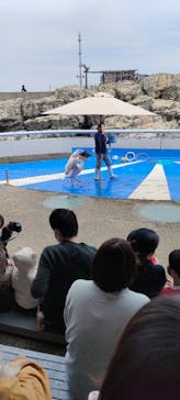 大分マリーンパレス水族館 「うみたまご」に投稿された画像（2025/3/11）