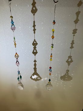 Apertio Floris（アペルティオーフローリス）に投稿された画像（2025/3/11）