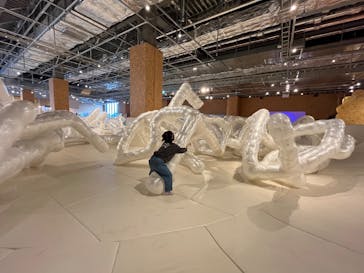 PLAY! PARKに投稿された画像（2025/3/11）